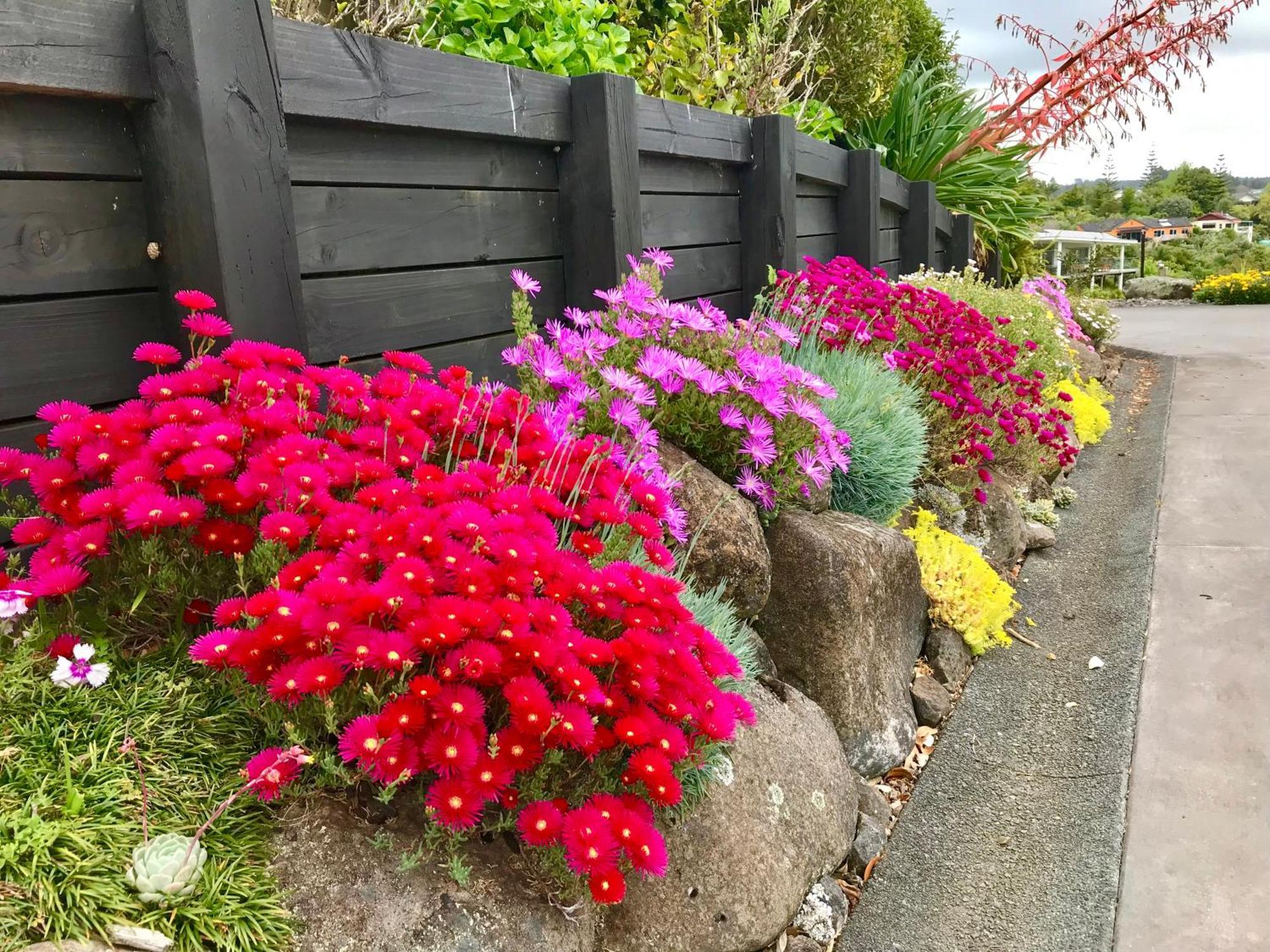 Appartamento Sunset Point Kerikeri Esterno foto